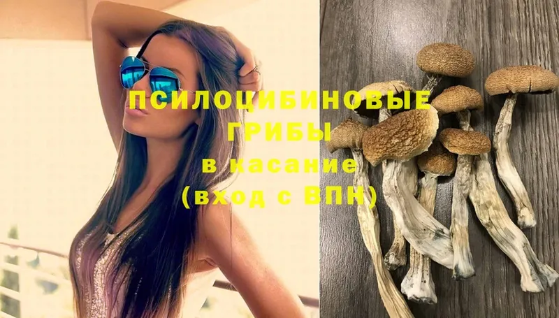 Галлюциногенные грибы MAGIC MUSHROOMS  Бутурлиновка 